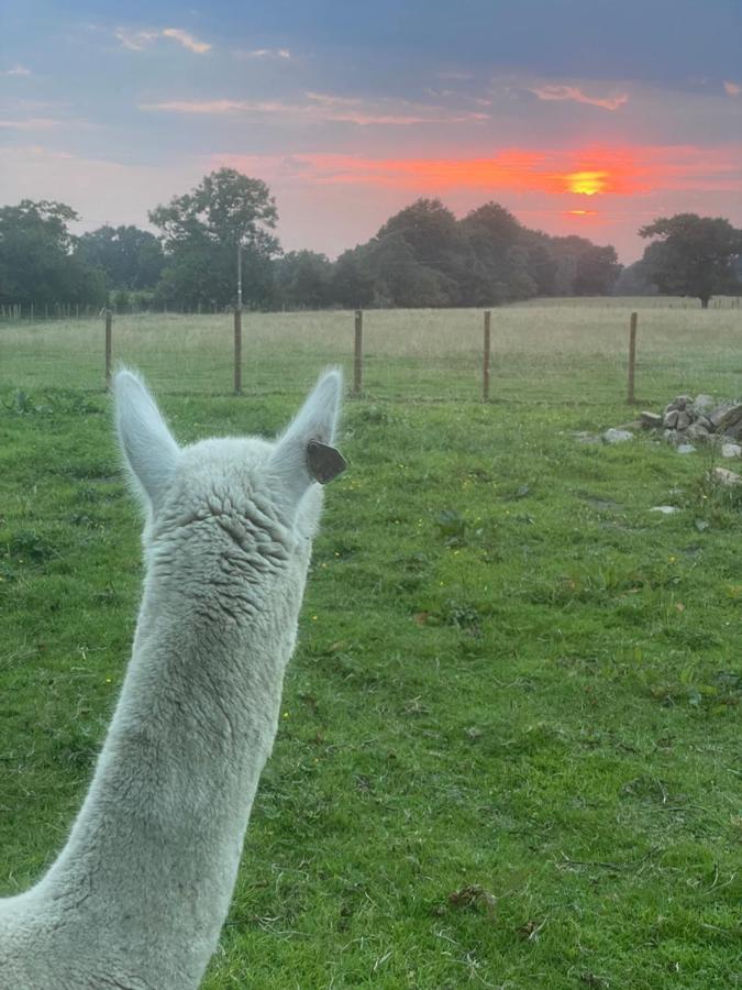 プレストン Alpaca Foldヴィラ エクステリア 写真